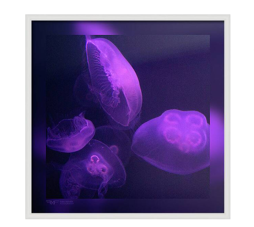 FMF-'Live Lavender IV'-Wildlife
